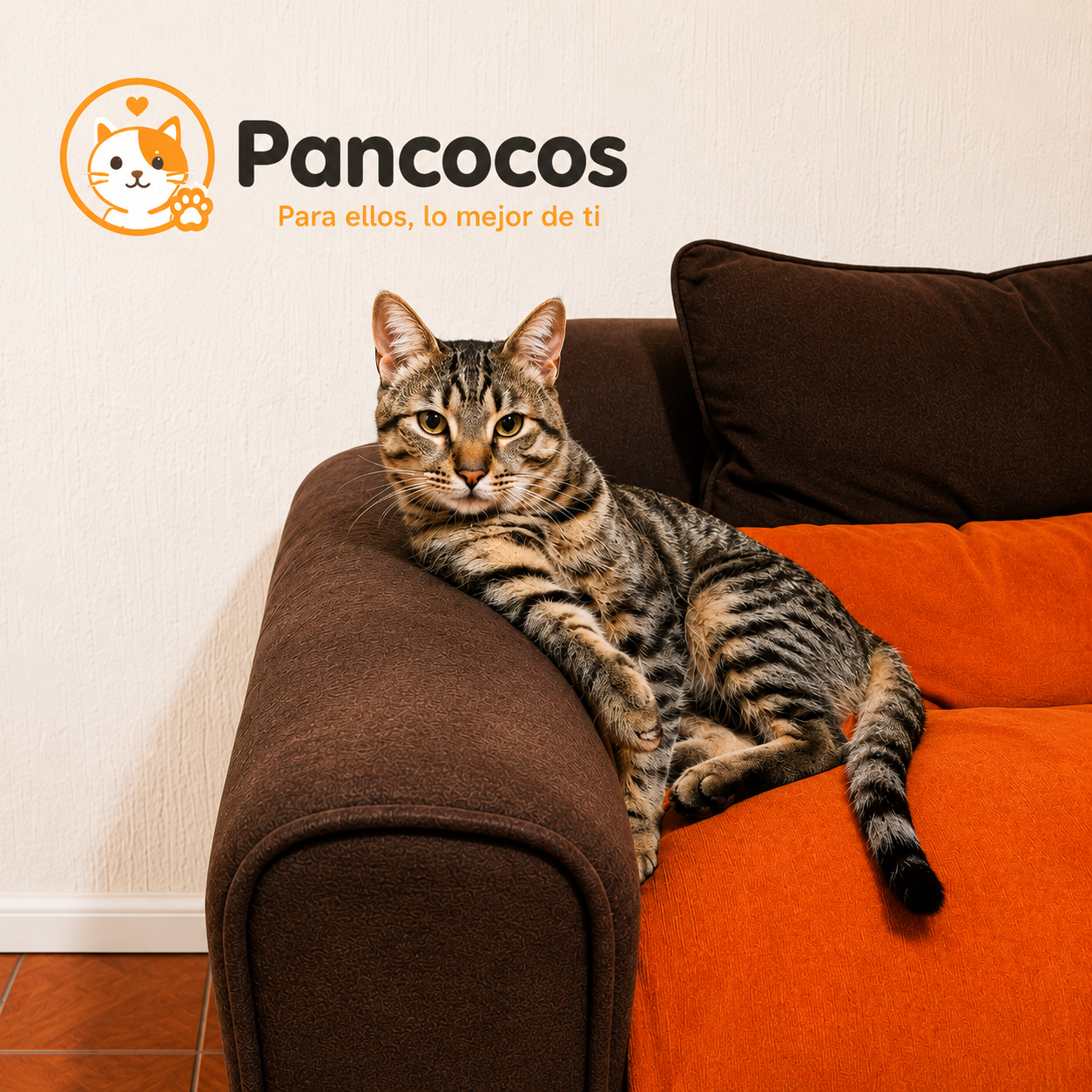 Mascotas con personalidad